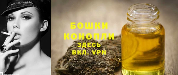 мдпв Мегион