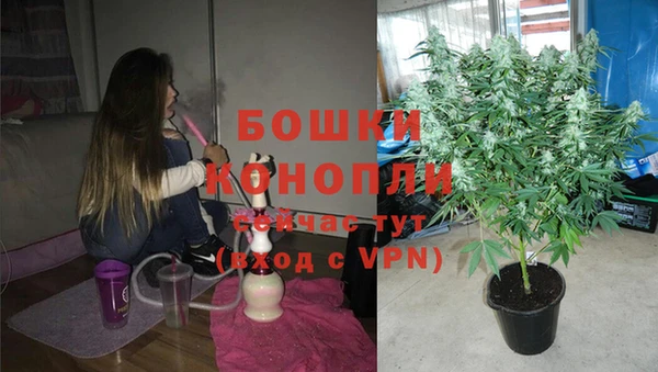 мдпв Мегион