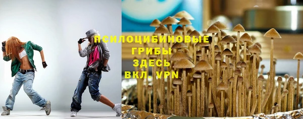 бутират Михайлов