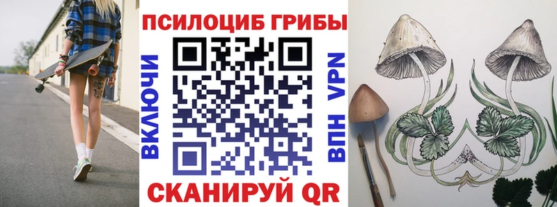 Галлюциногенные грибы Psilocybe Туран